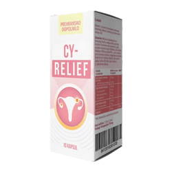CY Relief u bih